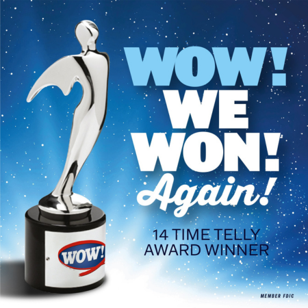 14 time Telly Award Winner