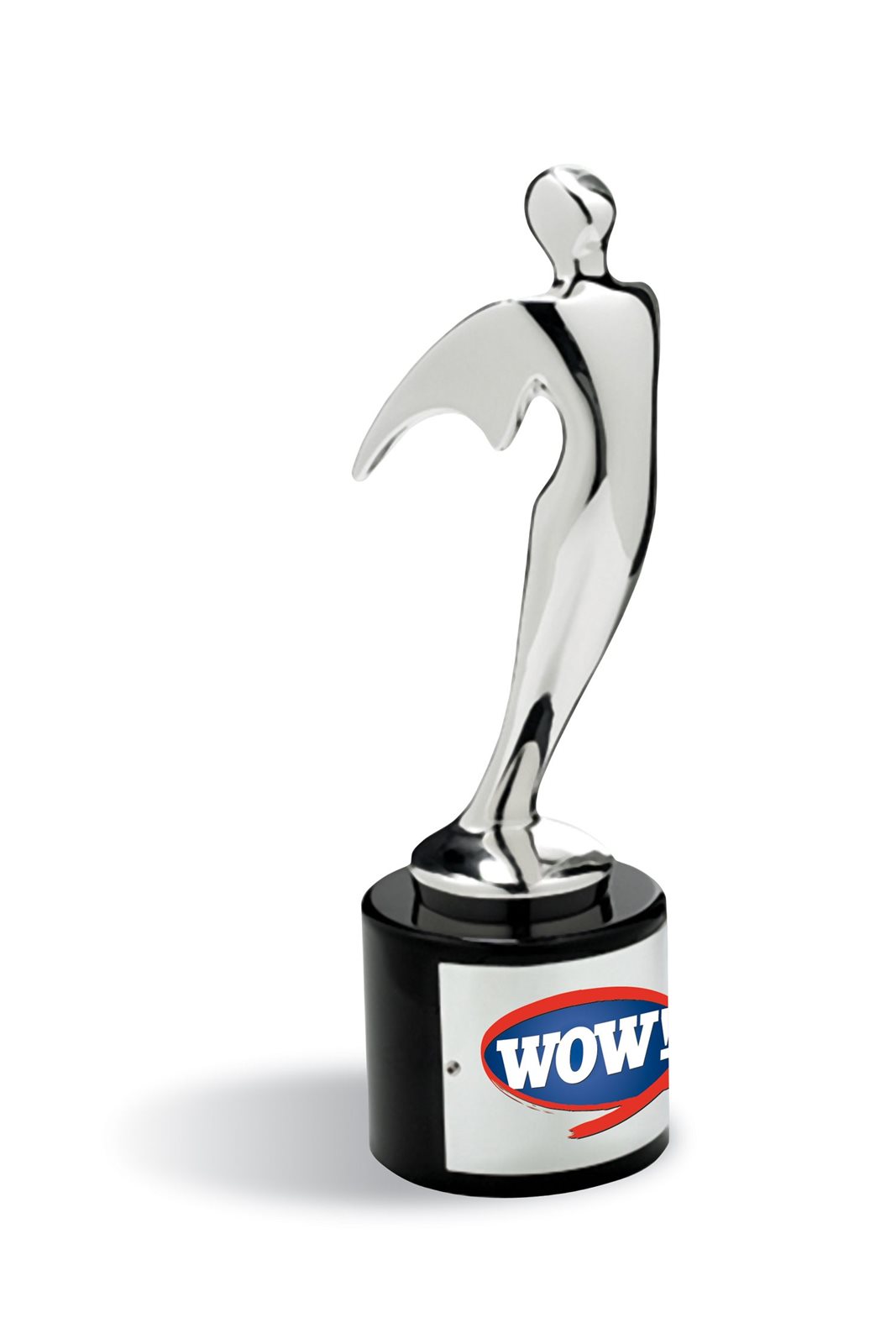 WOW Telly Award